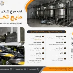 تخم مرغ شکن و هندلینگ مایع تخم مرغ