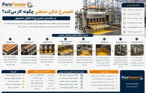 تخم‌ مرغ شکن صنعتی چگونه کار می‌کند؟ از شکستن تخم‌ مرغ تا انتقال محصول